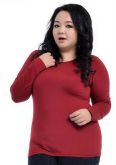 Plus Size Outono Inverno básico